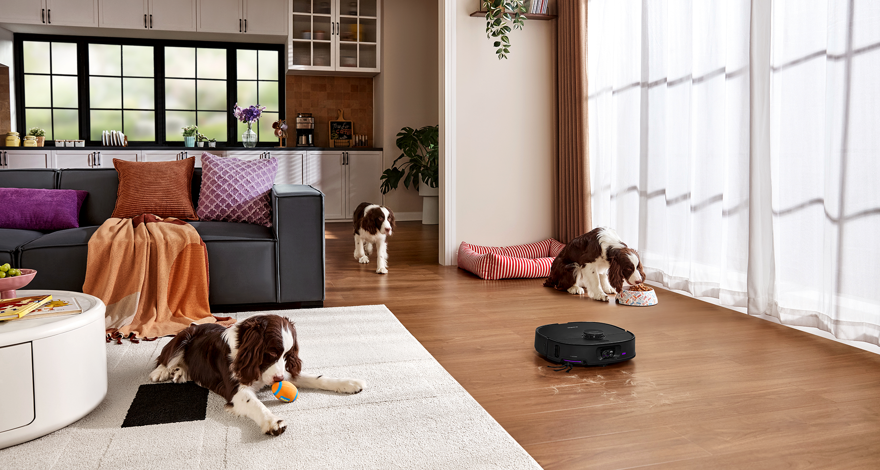 Saugroboter für Hunde und Katzen: So werden Tierhaare eliminiert