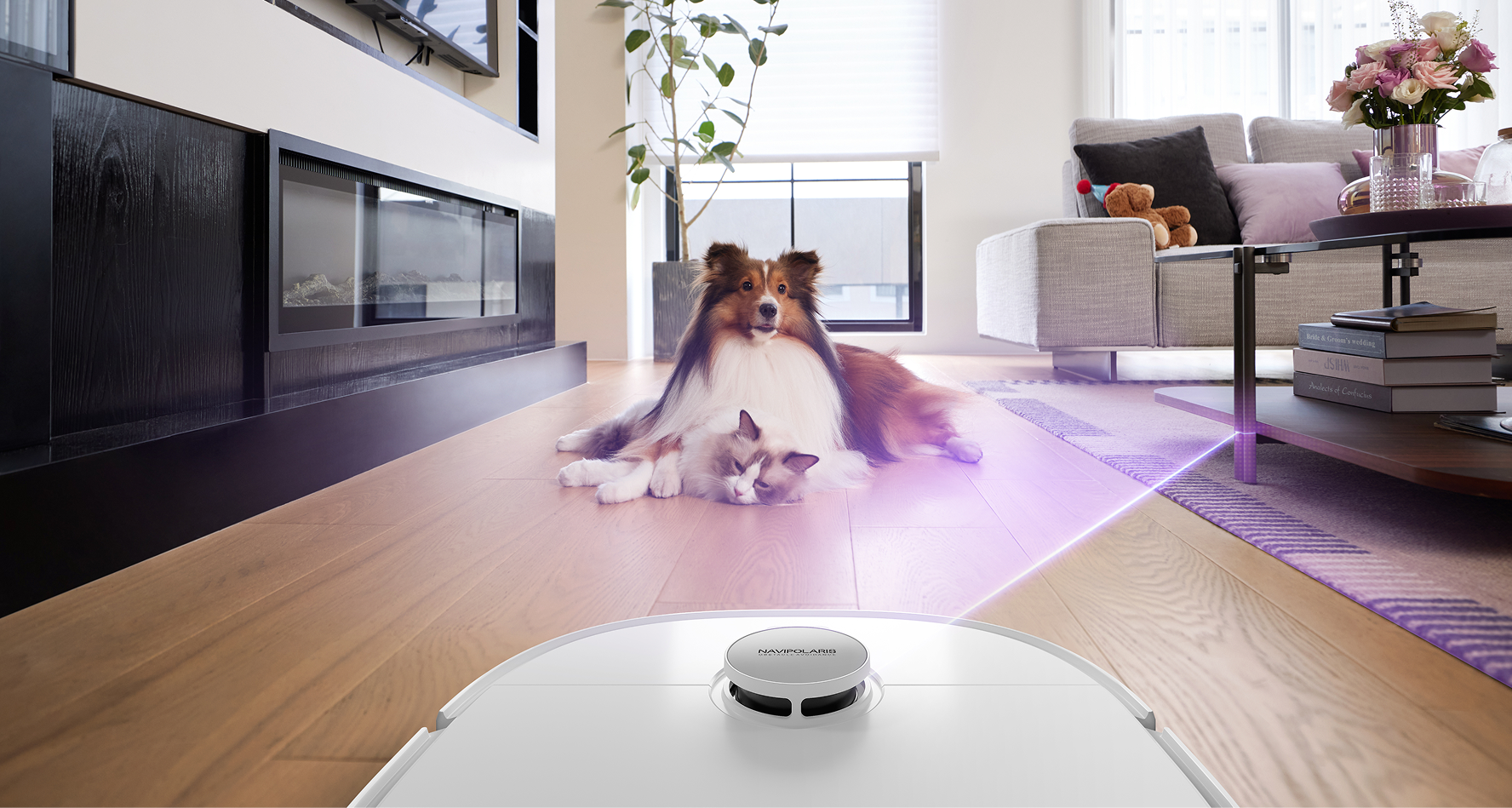 Die besten Staubsauger für Haustierbesitzer: Kompletter Ratgeber