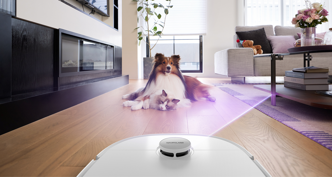 Die besten Staubsauger für Haustierbesitzer: Kompletter Ratgeber