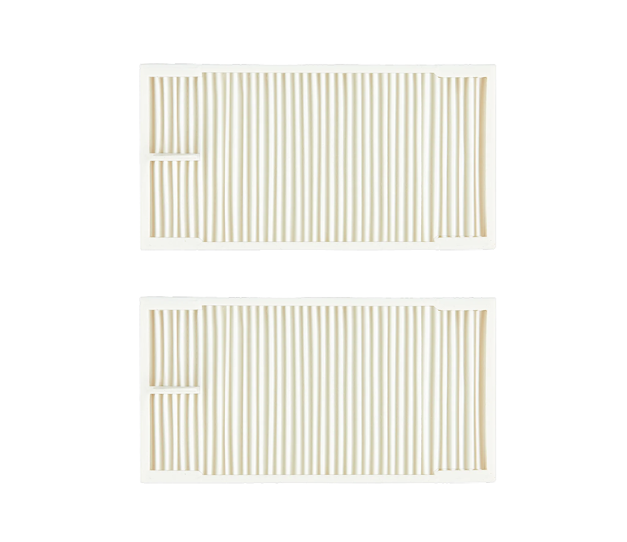 <tc>EUREKA</tc> Filtro HEPA E10s E20Plus*2